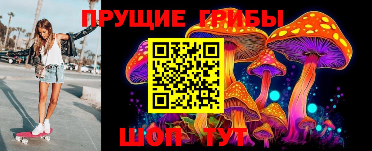 Псилоцибиновые грибы Cubensis  Вход с VPN  Псков 